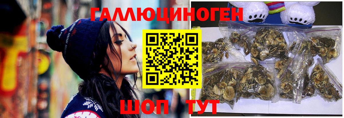 Псилоцибиновые грибы Psilocybe Клинцы